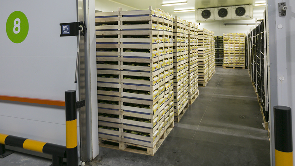 17-pixelarte-estudio-diseno-grafico-rotulacion-senaletica-oficinas-signage-Saibo-camara-frigorifica