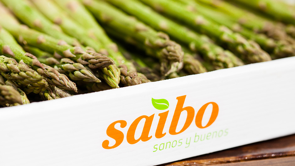 25-pixelarte-estudio-diseno-grafico-Saibo-importacion-fruticola-fotografia-packaging-esparragos