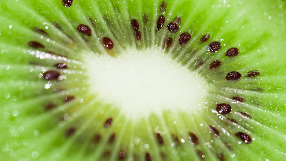 28-pixelarte-estudio-diseno-grafico-Saibo-importacion-frutas-fotografia-producto-kiwi