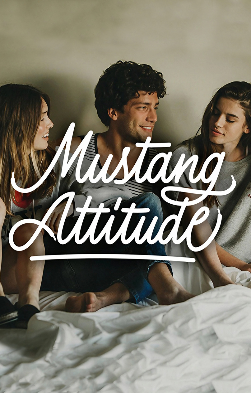 Pixelarte estudio de diseño gráfico en Valencia - Diseño de logotipo para la marca de calzado Mustang