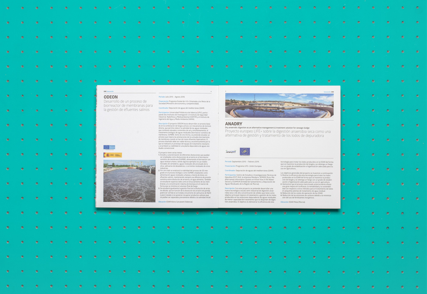 pixelarte-diseno-grafico-informe-empresa-Dam_Depuracion_Aguas_Mediterraneo