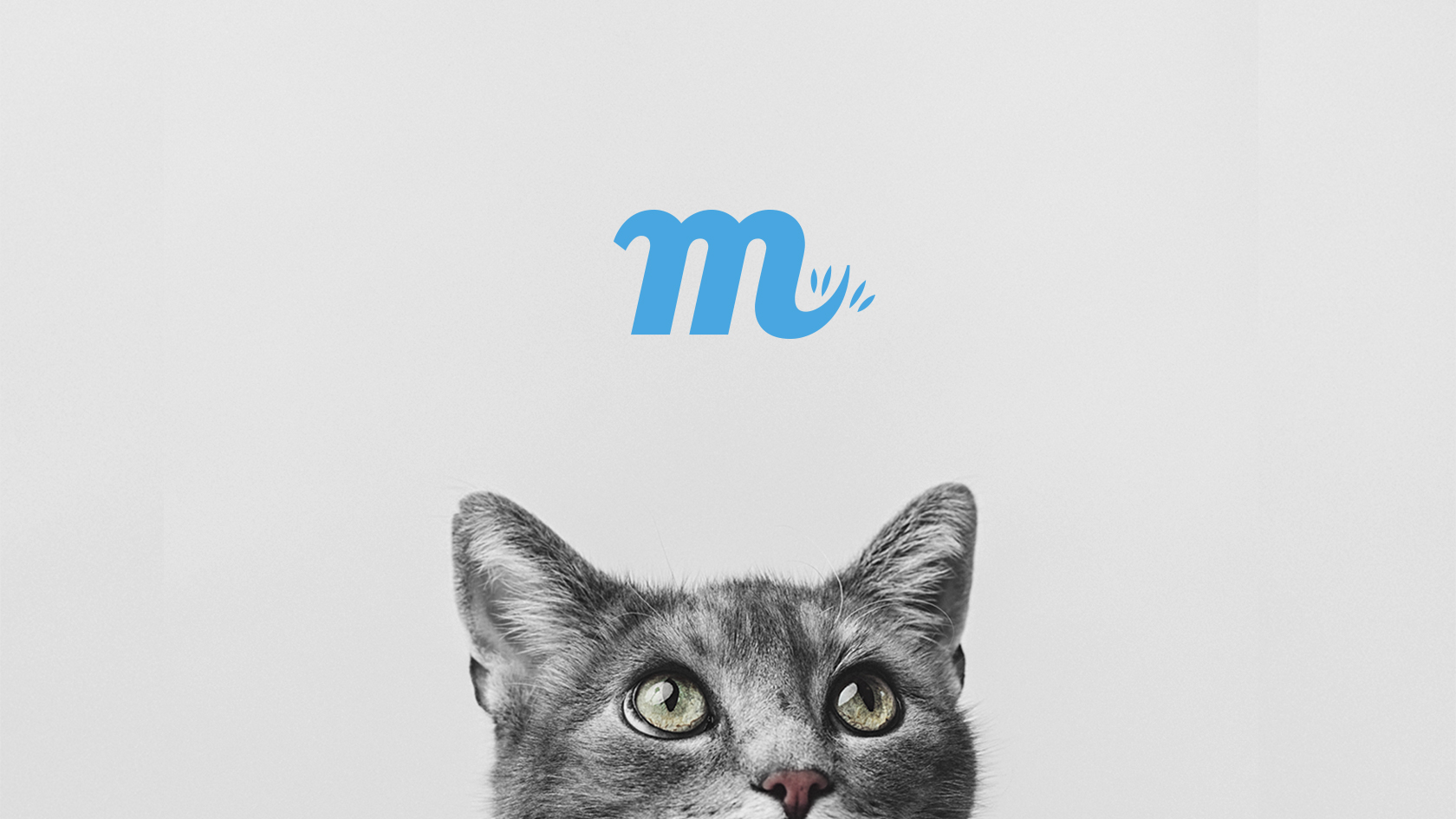 Pixelarte - Estudio de Diseño - diseño de identidad corporativa para Miscota