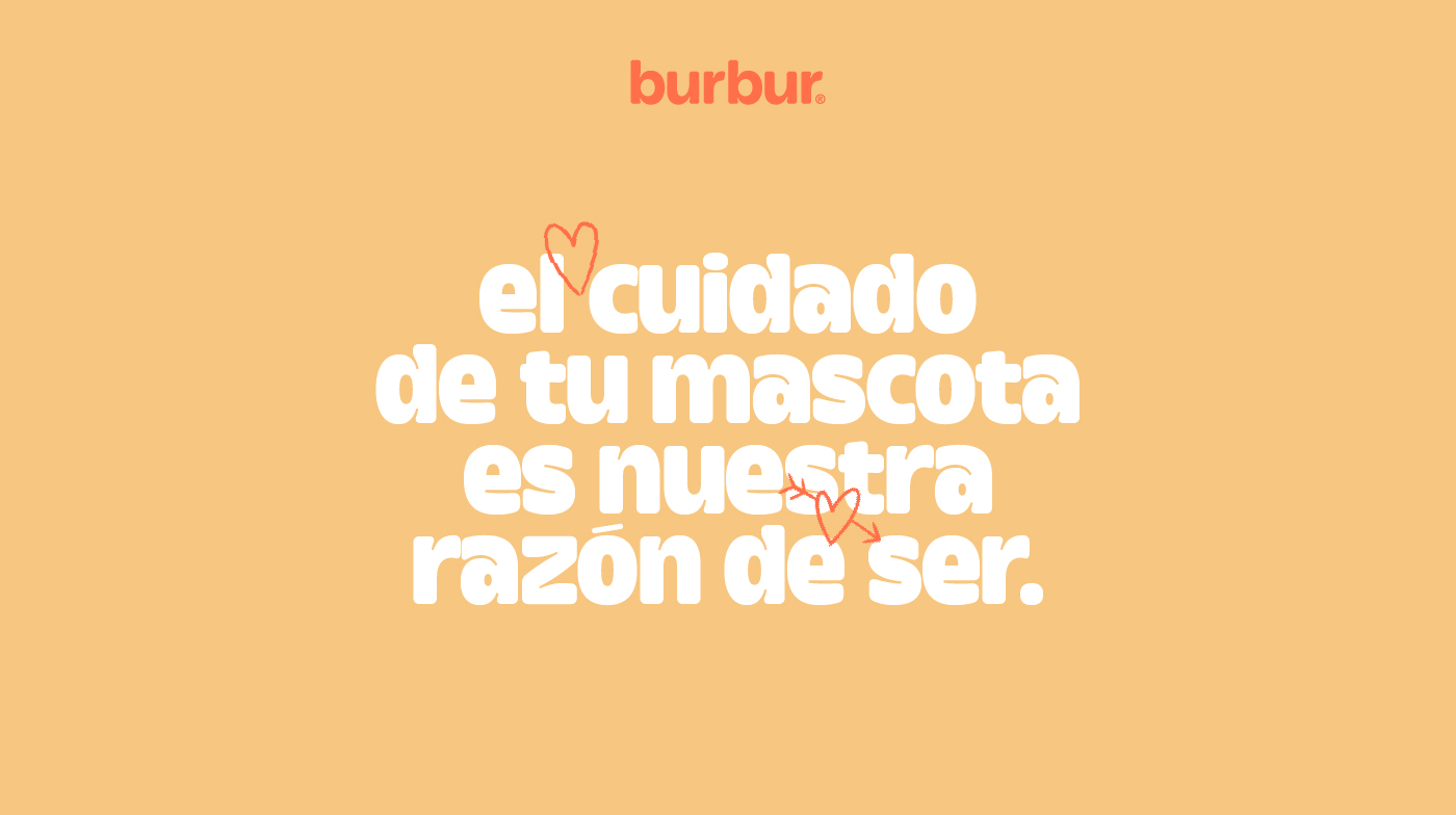 Pixelarte estudio de diseño gráfico- diseño identidad corporativa marca de mascotas Burbur