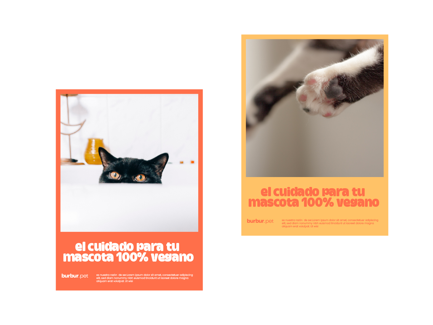 Pixelarte estudio de diseño gráfico- diseño identidad corporativa marca de mascotas Burbur