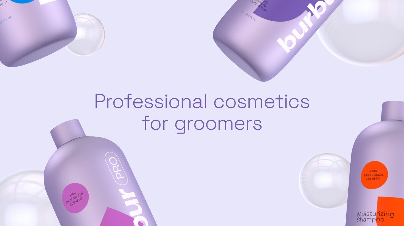 Pixelarte estudio de diseño gráfico- diseño web para BurburPro