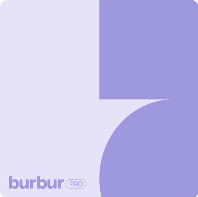 Pixelarte estudio de diseño gráfico- diseño logotipo marca de mascotas Burbur Pro