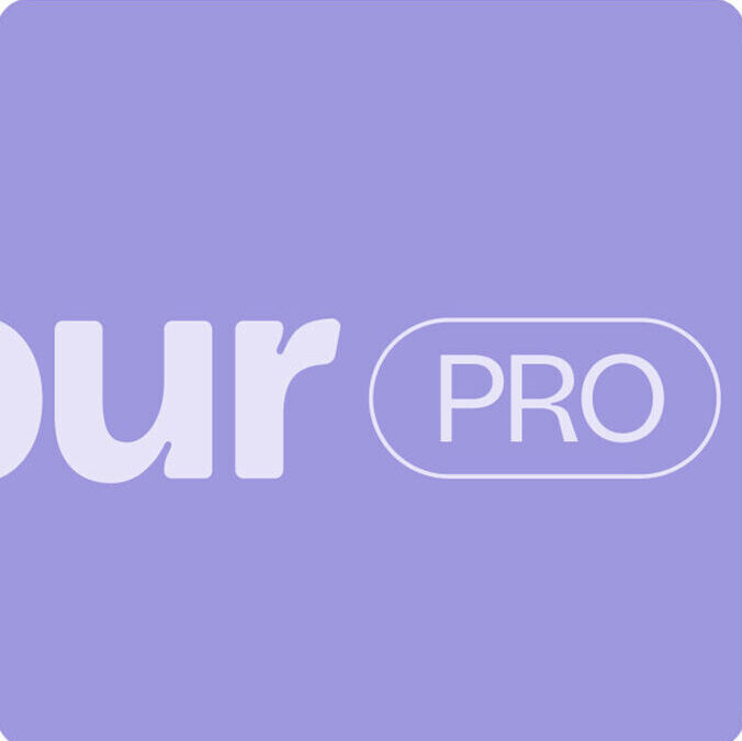 Pixelarte estudio de diseño gráfico- diseño logotipo marca de mascotas Burbur Pro