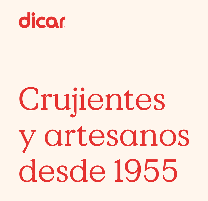 Pixelarte agencia de diseño gráfico - Diseño identidad corporativa para Dicar