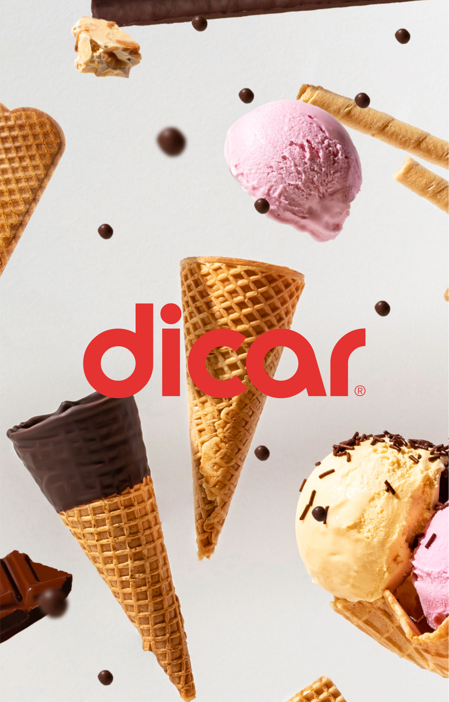 Pixelarte estudio de diseño gráfico - Diseño de Identidad Corporativa para Dicar