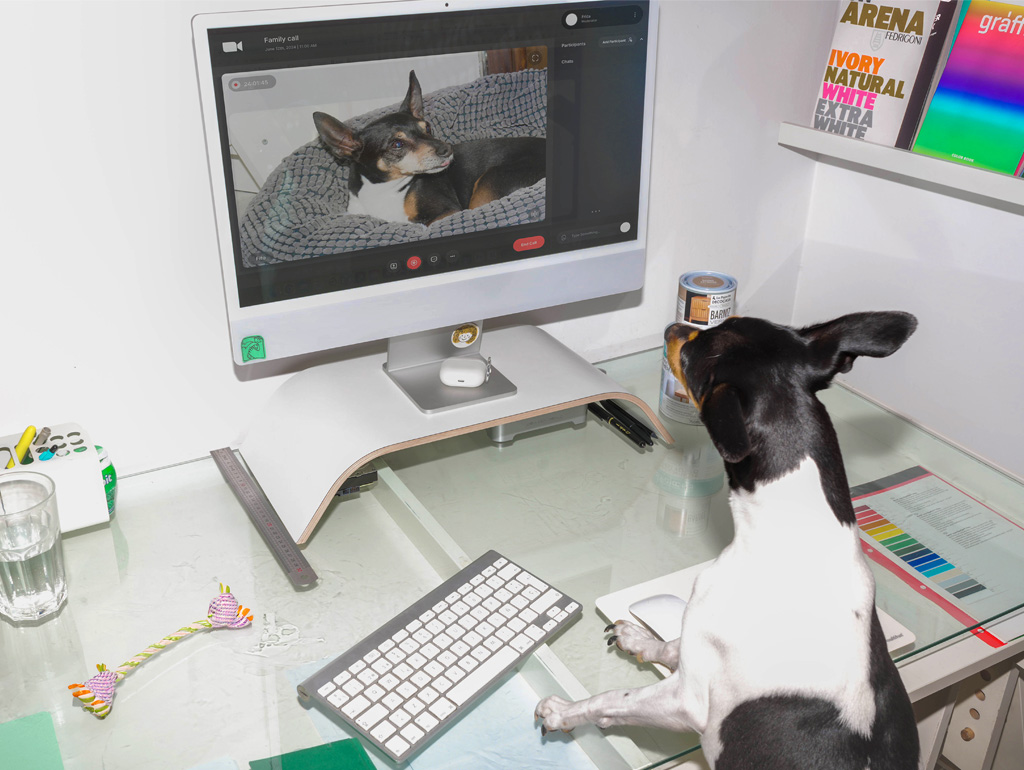 Pixelarte estudio de diseño gráfico en Valencia - equipo