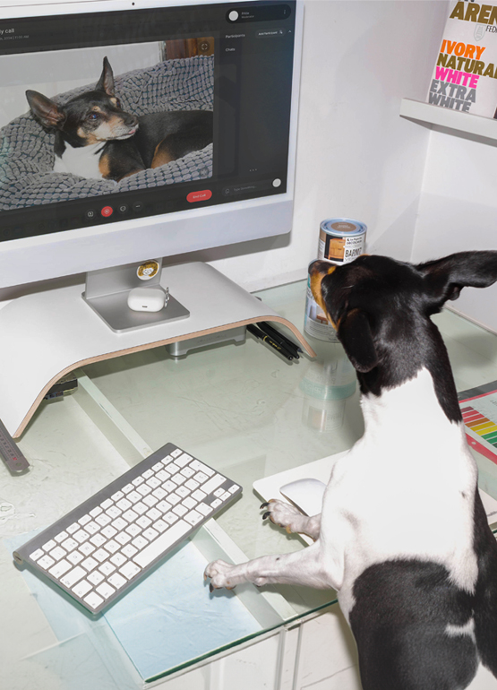 Pixelarte estudio de diseño gráfico en Valencia - equipo